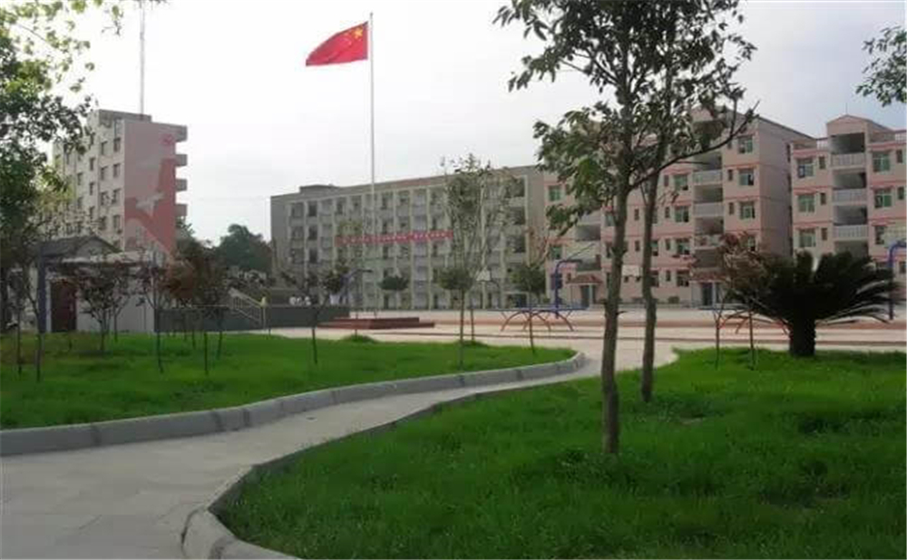 内江市第十一中学学校详细地址在什么地方?